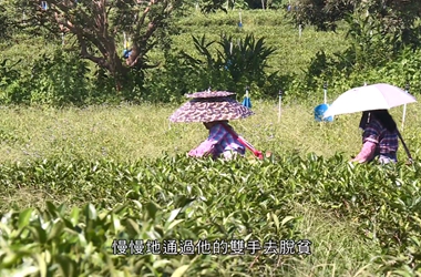 第七集：水利工程 生態扶貧