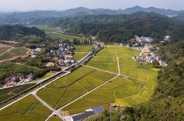 農旅融合 繪就美麗鄉村新畫卷