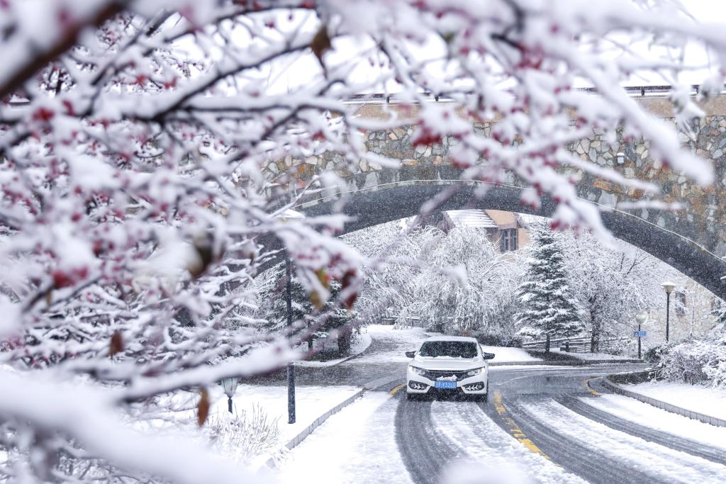 吉林多地迎來(lái)降溫降雪