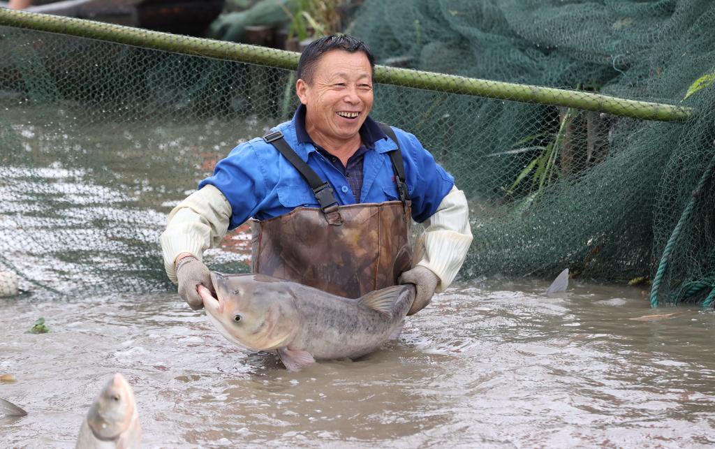 江南水鄉體驗傳統魚文化