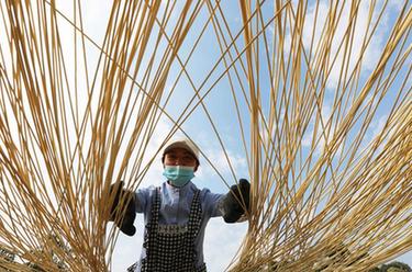 貴州赤水：竹產業助力鄉村振興