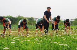 山東樂(lè)陵：多彩課程促成長(zhǎng)