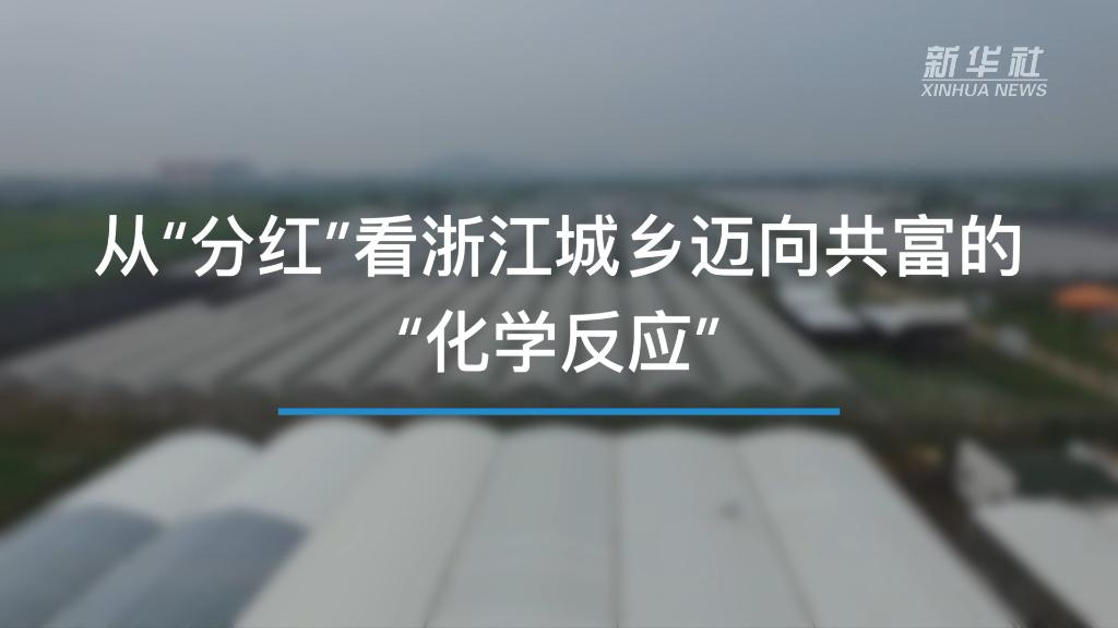 奮進新征程 建功新時代｜從“分紅”看浙江城鄉邁向共富的“化學反應”